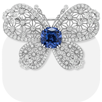 گل سینه زنانه