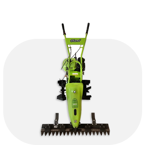 باغبانی و کشاورزی