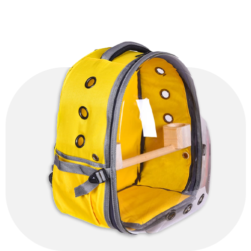 حیوانات خانگی