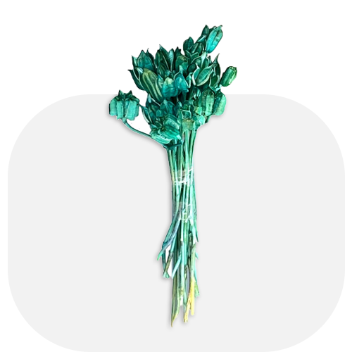 میوه و گل تزئینی