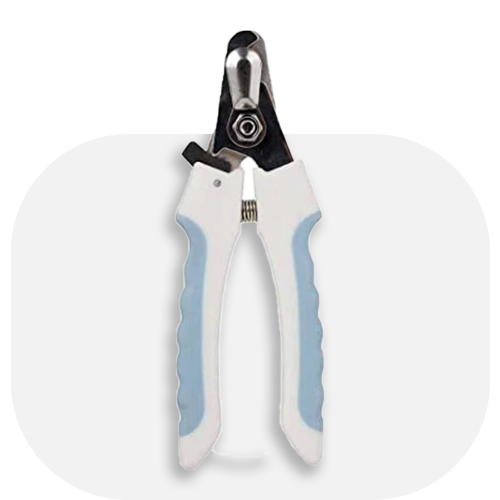 بهداشت، مراقبت و نگهداری حیوانات