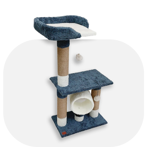 آموزش، سرگرمی و اکسسوری حیوانات