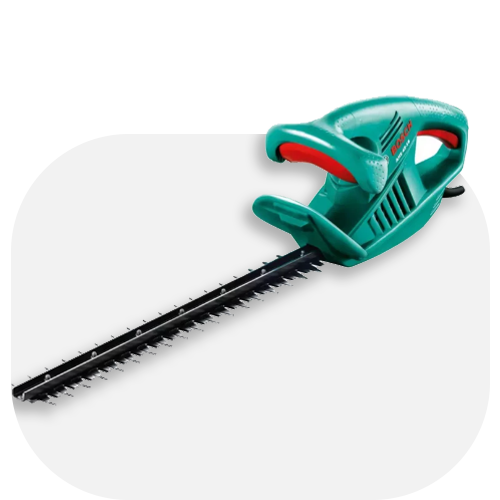 شمشاد زن موتوری