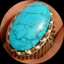 لوگوی فروشگاه فیروزه