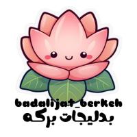 لوگوی فروشگاه خرازی و بدلیجات برکه