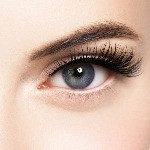 لوگوی فروشگاه ملورنس