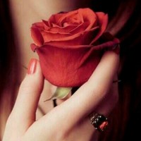 لوگوی فروشگاه اوستا بیوتی