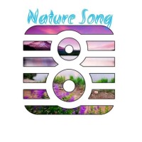 لوگوی فروشگاه نیچرسانگ