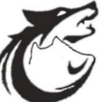 لوگوی فروشگاه کتونی گرگ