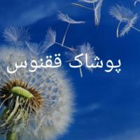 لوگوی فروشگاه پوشاک ققنوس