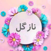 لوگوی فروشگاه ارزانسرای نازگل