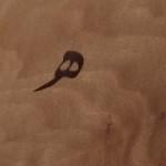 لوگوی فروشگاه هیلوود