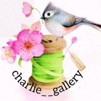 لوگوی فروشگاه دستسازه های چارلی