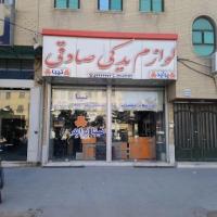 لوگوی فروشگاه لوازم یدکی صادقی