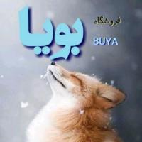 لوگوی فروشگاه لوازم یدکی بویا