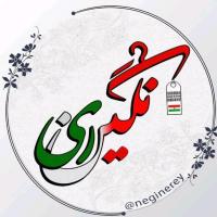 لوگوی فروشگاه نگین ری