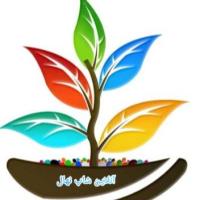 لوگوی فروشگاه آنلاین شاپ نهال ( قبل از ثبت سفارش موجودی بگیرید)