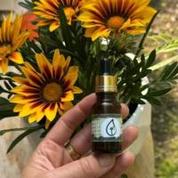 لوگوی فروشگاه تهران شاپ