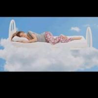 لوگوی فروشگاه تشکچی