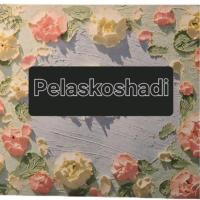 لوگوی فروشگاه پلاسکوشادی