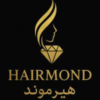 لوگوی فروشگاه هیرموند