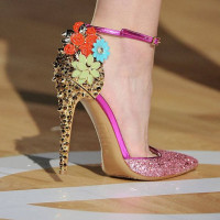 لوگوی فروشگاه کفش سلین